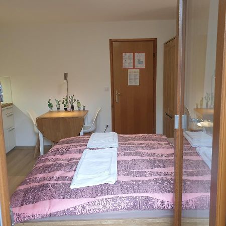 Apartmaji Pri Medvedu Studio Rudnica Bohinj Esterno foto