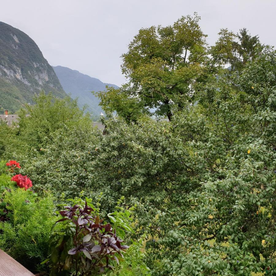 Apartmaji Pri Medvedu Studio Rudnica Bohinj Esterno foto